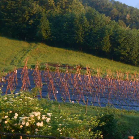 Agriturismo La Casa Nei Boschi Colderu Exterior foto