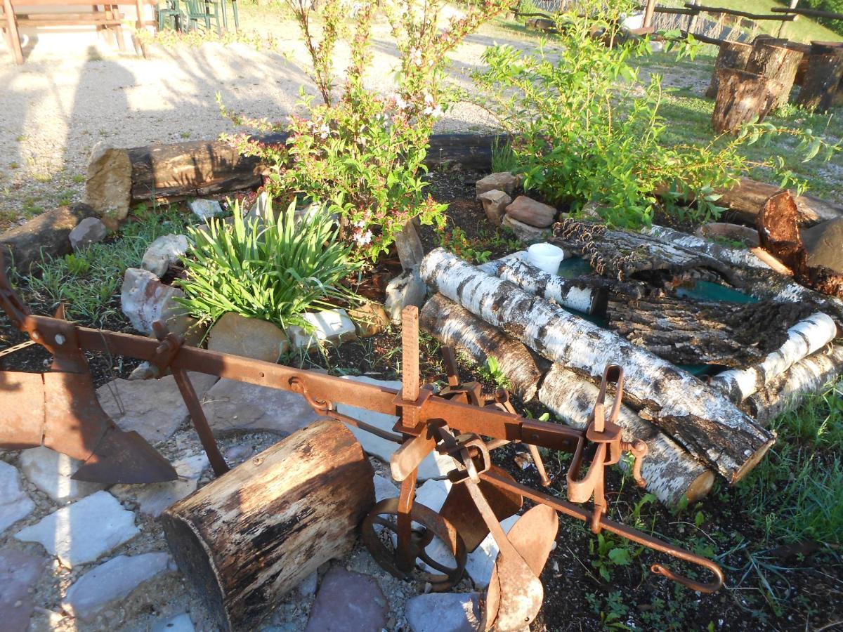 Farm stay La Casa Nei Boschi