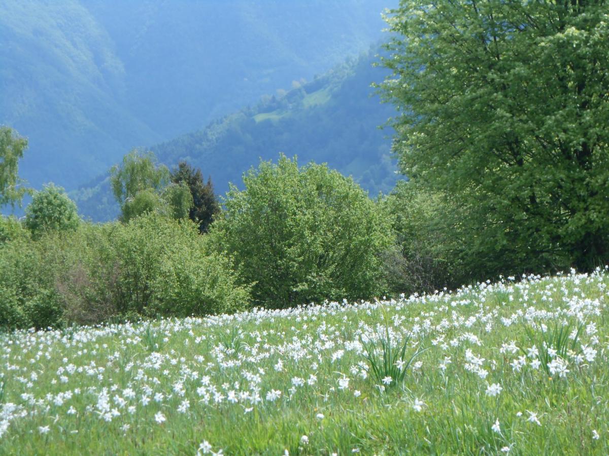 Farm stay La Casa Nei Boschi *