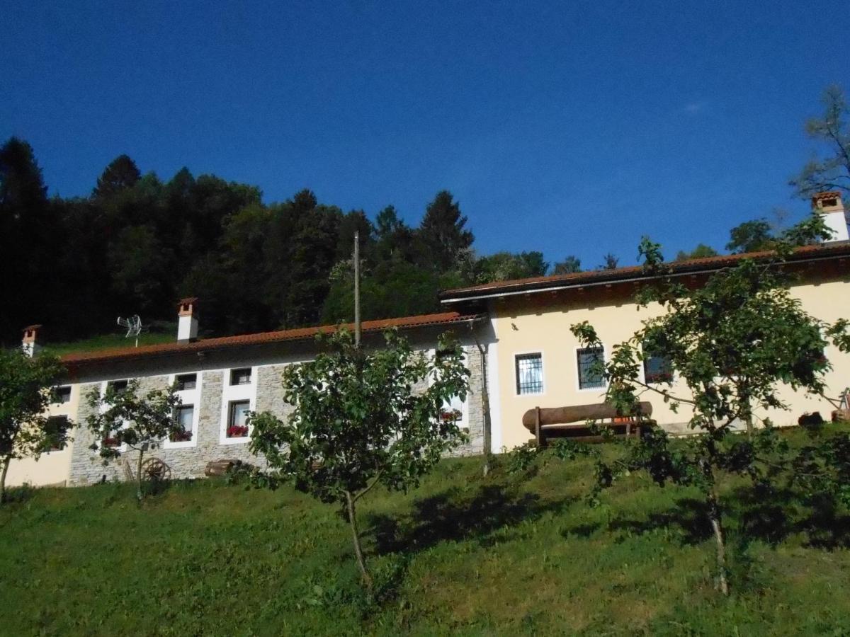 La Casa Nei Boschi * Colderu