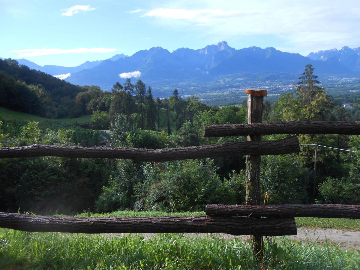 Farm stay La Casa Nei Boschi