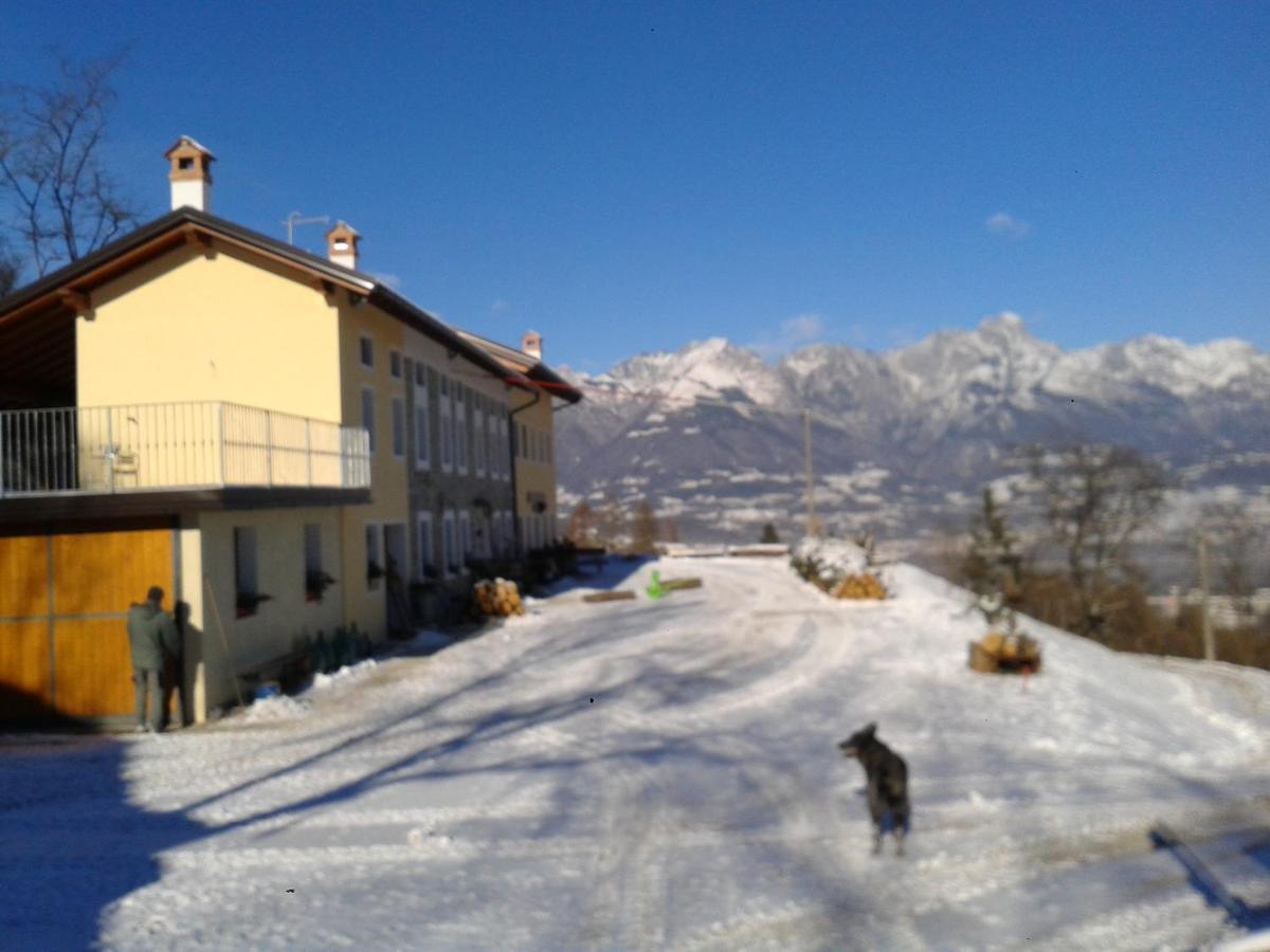 Farm stay La Casa Nei Boschi *