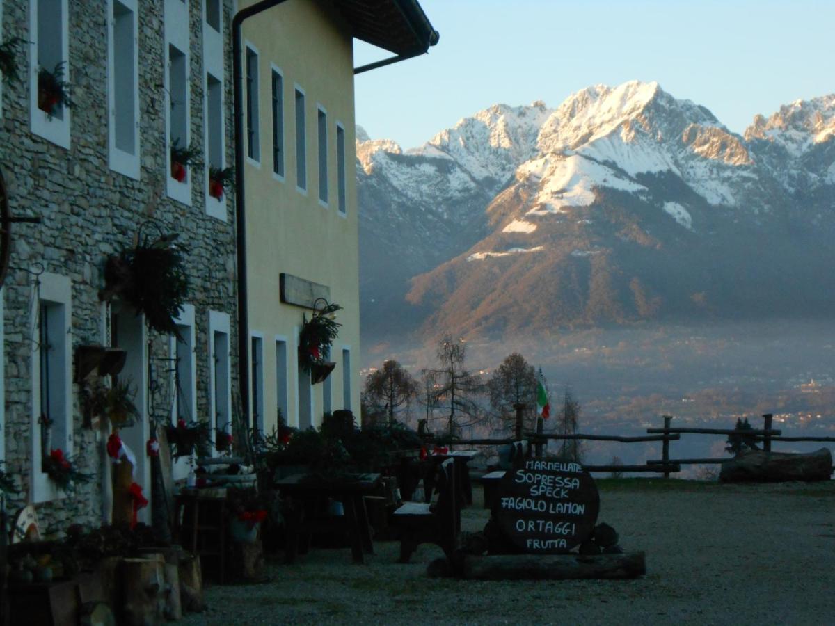 La Casa Nei Boschi Farm stay