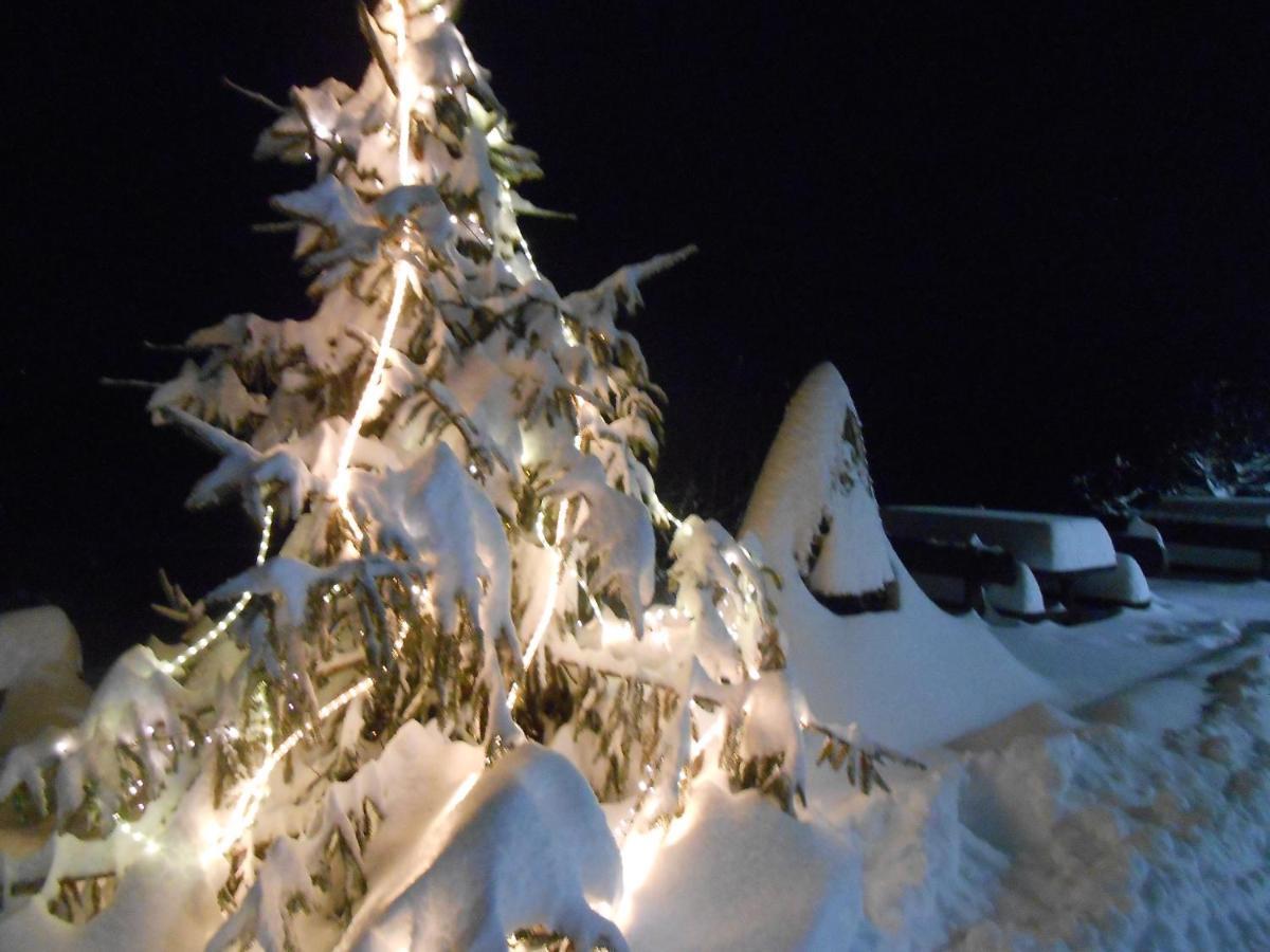 Farm stay La Casa Nei Boschi *