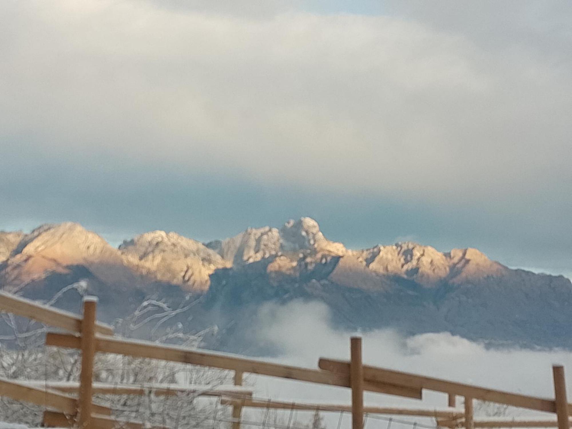 Farm stay La Casa Nei Boschi Colderu