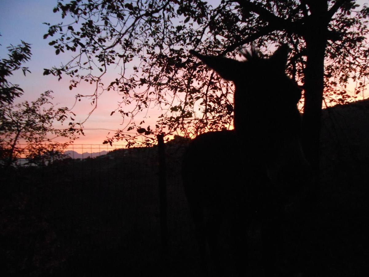 Farm stay La Casa Nei Boschi Colderu