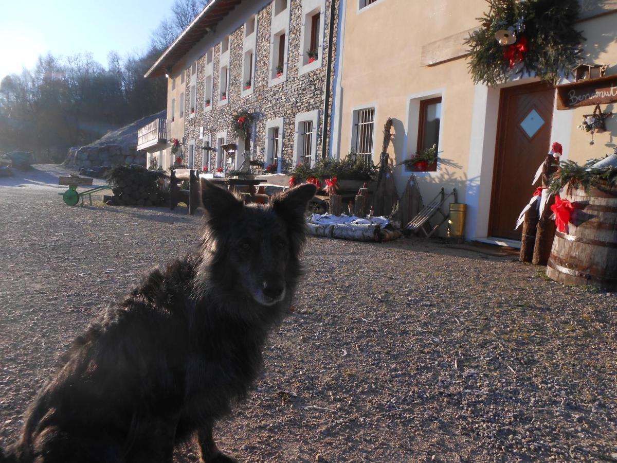Farm stay La Casa Nei Boschi