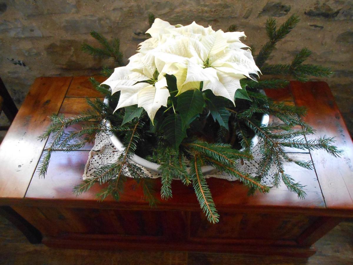 La Casa Nei Boschi Farm stay *